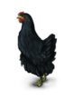 //static.ma-bimbo.com/product/4/728/145529~1432045737.png