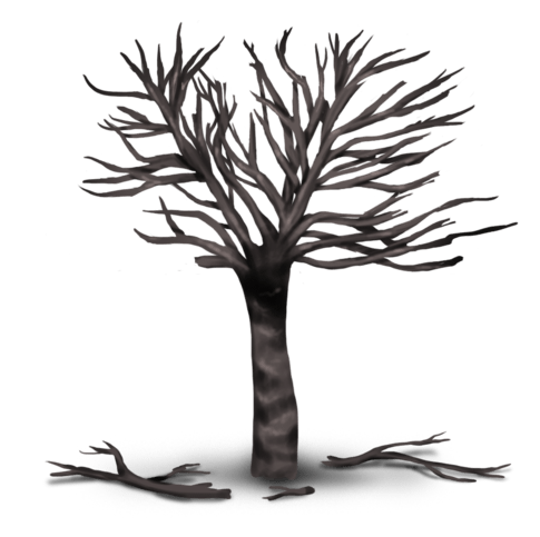 //static.ma-bimbo.com/product/2/344/68621~1363689451.png