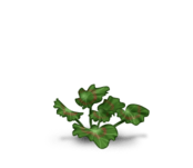 //static.ma-bimbo.com/product/2/344/68622~1363689455.png