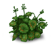 //static.ma-bimbo.com/product/2/344/68623~1363689455.png