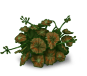 //static.ma-bimbo.com/product/2/344/68627~1363689455.png
