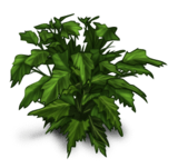 //static.ma-bimbo.com/product/2/344/68631~1363689462.png