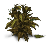 //static.ma-bimbo.com/product/2/344/68633~1363689462.png