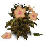 //static.ma-bimbo.com/product/2/344/68634~1363689462.png