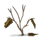 //static.ma-bimbo.com/product/2/344/68635~1363689462.png