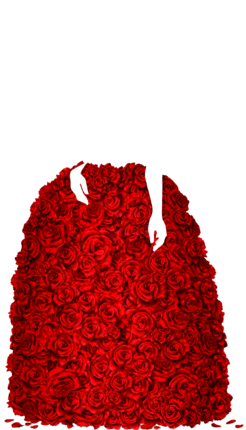 https://static.ma-bimbo.com/product/7/1349/269768~1486541149.png