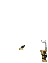 https://static.ma-bimbo.com/product/9/1732/346360~1537172909.png